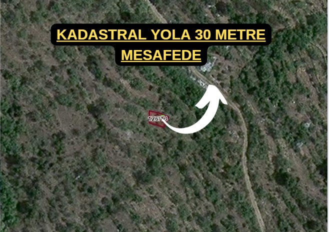 Fotoğraf